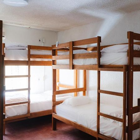 Desert Heart Hostel San José del Cabo 外观 照片