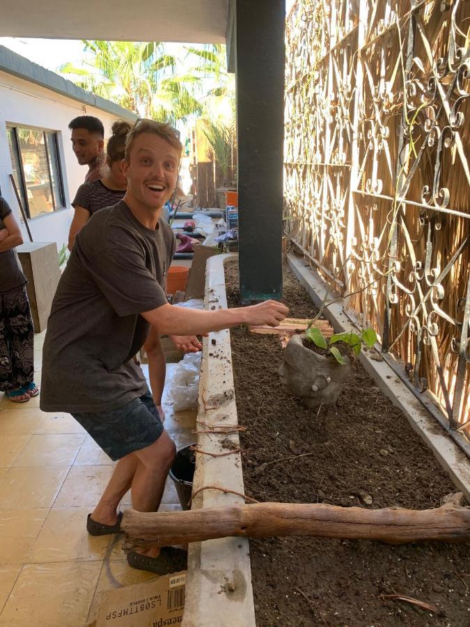 Desert Heart Hostel San José del Cabo 外观 照片