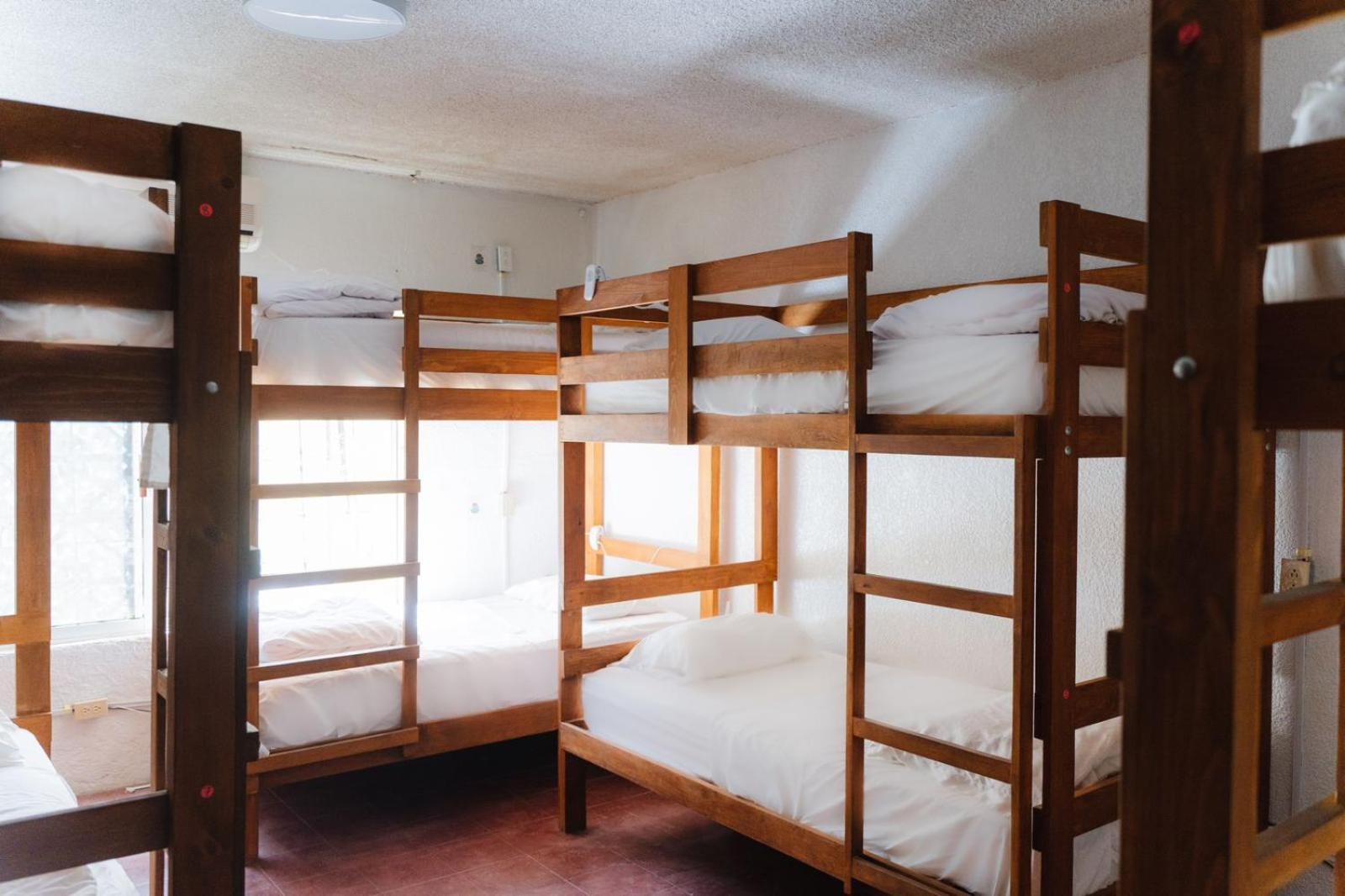 Desert Heart Hostel San José del Cabo 外观 照片