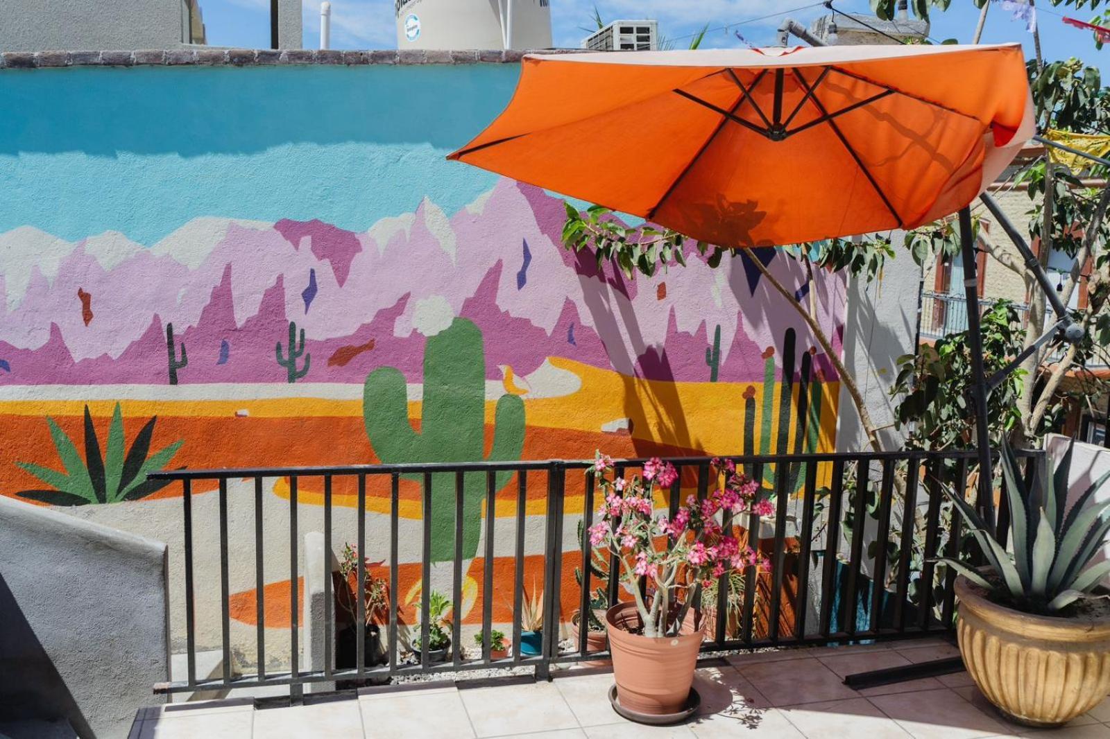 Desert Heart Hostel San José del Cabo 外观 照片
